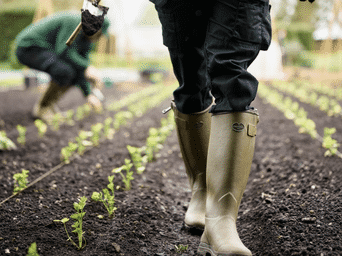 Le chameau wellington boots sale discount